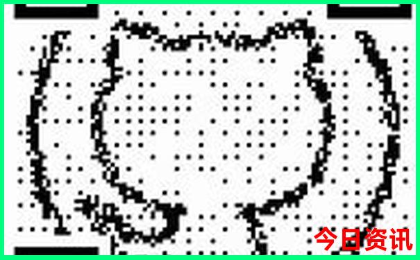 大理州东部是哪些地方